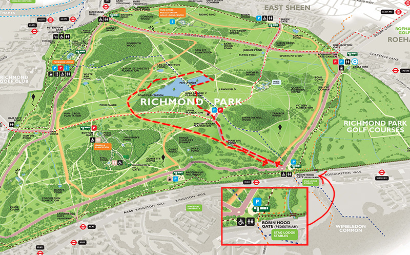 Richmond Park英國皇家里奇蒙公園